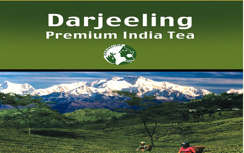 Tea Board India